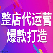 代運(yùn)營(yíng)標(biāo)準(zhǔn)版半年服務(wù)方案